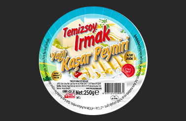  TEMİZSOY